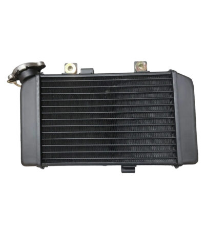 رادیاتور اصلی موتورسیکلت CFMOTO 150NK