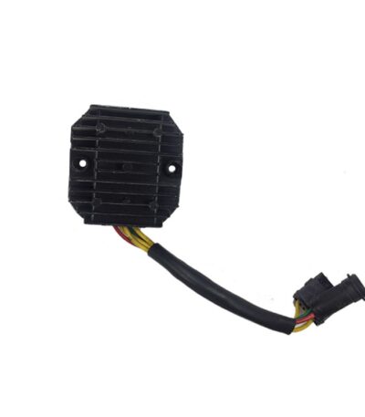 شارژر موتورسیکلت CFMOTO 150NK