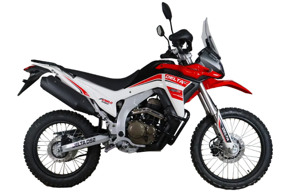DELTA-DS2-250